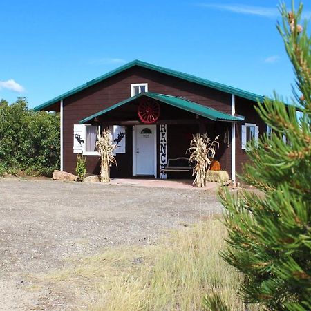 Ranch Mountain Cabin, Stunning! Campfire, Hiking Монтичелло Экстерьер фото